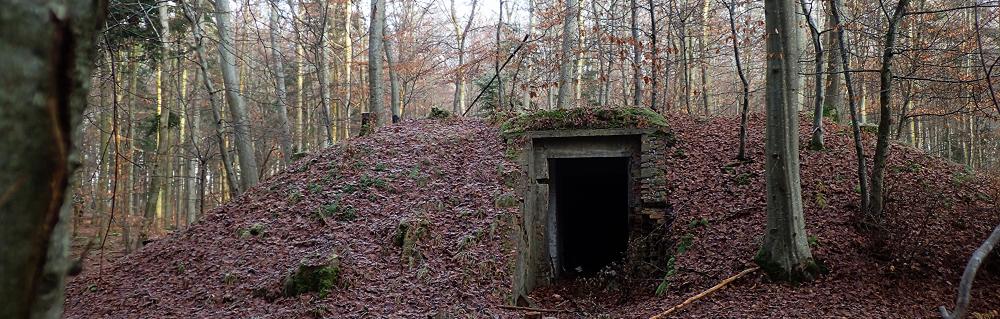 Tysker depot i Undallslund Skov