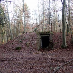 Tysker depot i Undallslund Skov