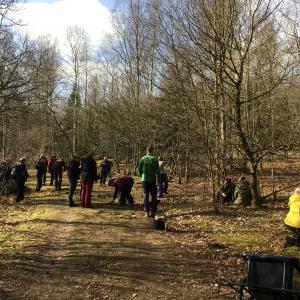 Voksne i naturen